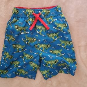 Dino surfing swim trunks